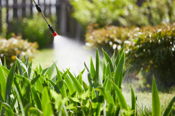 24/7 Emergency Fumigation Services experts in Palestine, TX