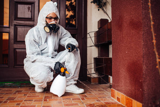 Reliable Fumigation Services contractor in Palestine, TX by Nex Pest Control
