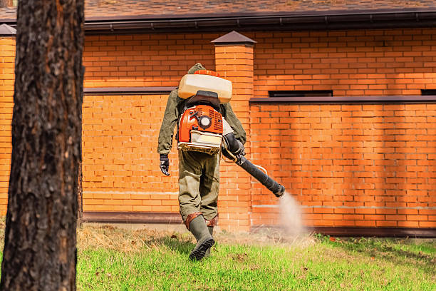 Top rated local Fumigation Services specialists in Palestine, TX
